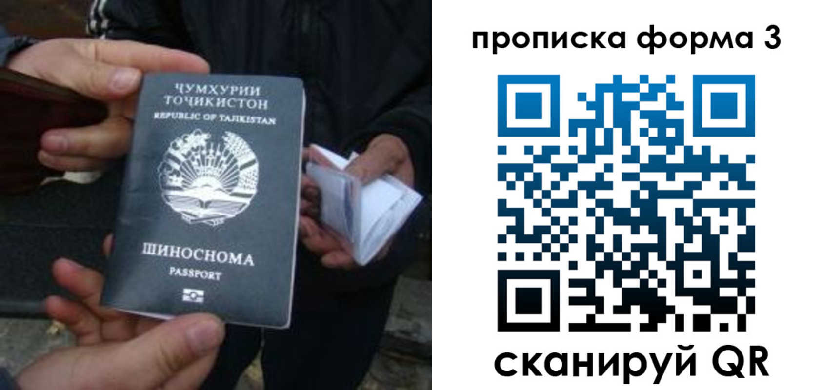 прописка 2025 в Дубовке